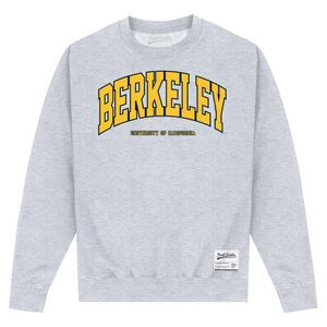 UC Berkeley Unisex Adult Arch Sweatshirt / Heather Grey